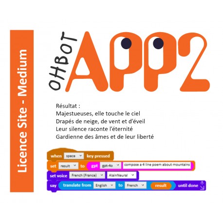 Application OhbotApp2 - Licence Site - Medium - 1 Année - Accès GPT